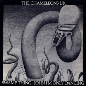 The Chameleons
